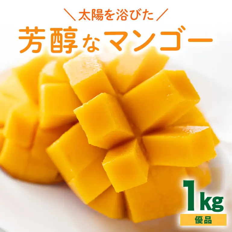 【 先行予約 2026年 発送】 沖縄の太陽を浴びた芳醇なマンゴー 1kg ( 優品 ) 沖縄県産 マンゴー アップルマンゴー アーウィンマンゴー 1キロ 国産 完熟マンゴー 果物 南国 くだもの フルーツ 完熟 夏 旬 沖縄 お取り寄せ 産地直送 農家直送 糸満市 90-5