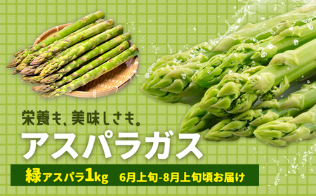 アスパラガス グリーン アスパラ 1kg