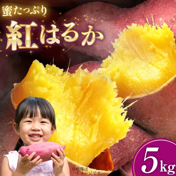 さつまいも 紅はるか 5kg 【2026年11月前半～2027年1月後半発送】 [SSSファーム 兵庫県 三田市 3d28bed520000]