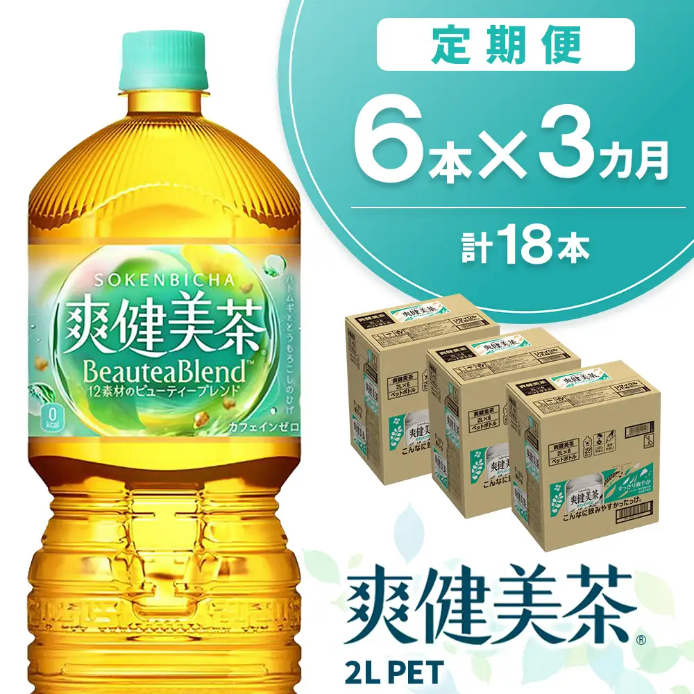 【3か月定期便】爽健美茶 2L×6本(1ケース) K090500