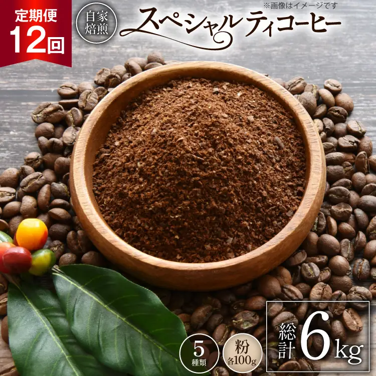 【年間定期便】 八ヶ岳珈琲 スペシャルティコーヒー 粉 100g 5種類 計500g 12ヶ月 [アフターゲームカフェ 山梨県 韮崎市 20745264]