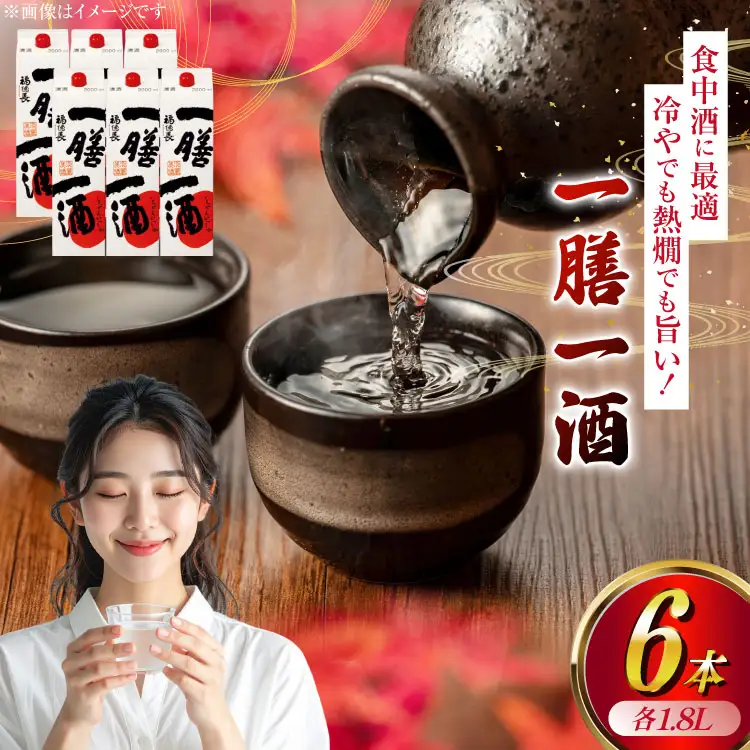 日本酒 福徳長 一膳一酒 1.8L 紙パック 6本 (1223714) [武田食品 山梨県 韮崎市 20745245]