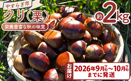 栗 2袋（２kg） 栗 yr-0103