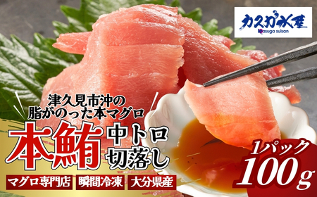 まぐろ まぐろ 中トロ 切落し 100g | 津久見市