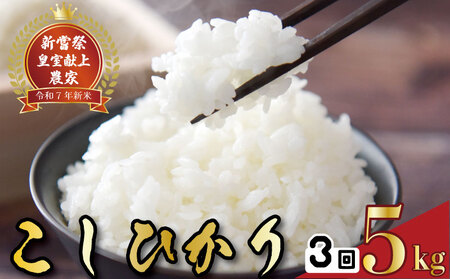 【コシヒカリ】 新米 5kg 3回 定期便 こしひかり 令和7年産 精米 AS017