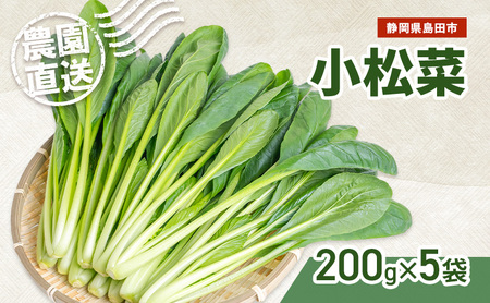静岡県島田市産 小松菜200g×5袋　野菜 やさい こまつな 旬 国産 産地直送 詰合せ 静岡県 島田市