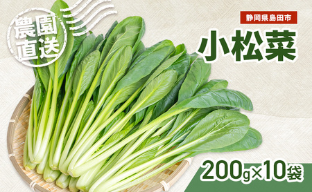 静岡県島田市産 小松菜200g×10袋　野菜 やさい こまつな 旬 国産 産地直送 詰合せ 静岡県 島田市