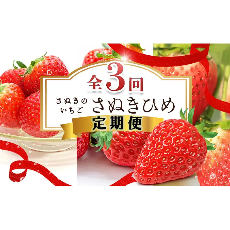 讃岐のいちご定期便（全3回）【さぬきひめ】