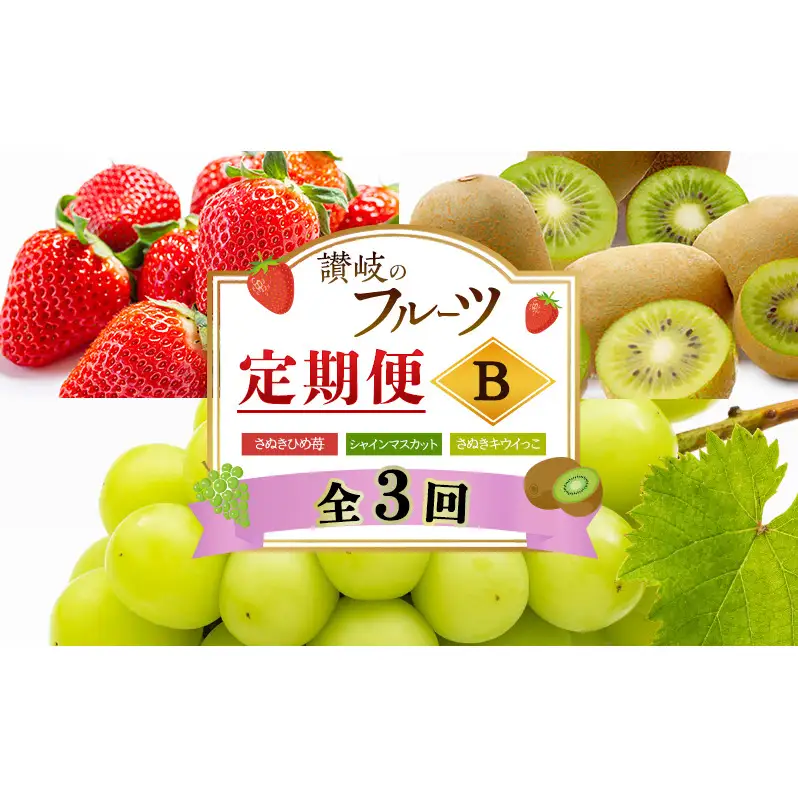 讃岐のフルーツ3回定期便【B】【さぬきひめ苺】【シャインマスカット】【さぬきキウイっこ】