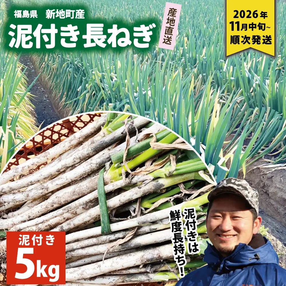 新地町産 泥付き長ネギ 約5kg 1箱 | 野菜 やさい 食品 人気 おすすめ 送料無料 ねぎ ネギ 葱 長ねぎ お取り寄せ 福島県 新地町 白ねぎ 鍋