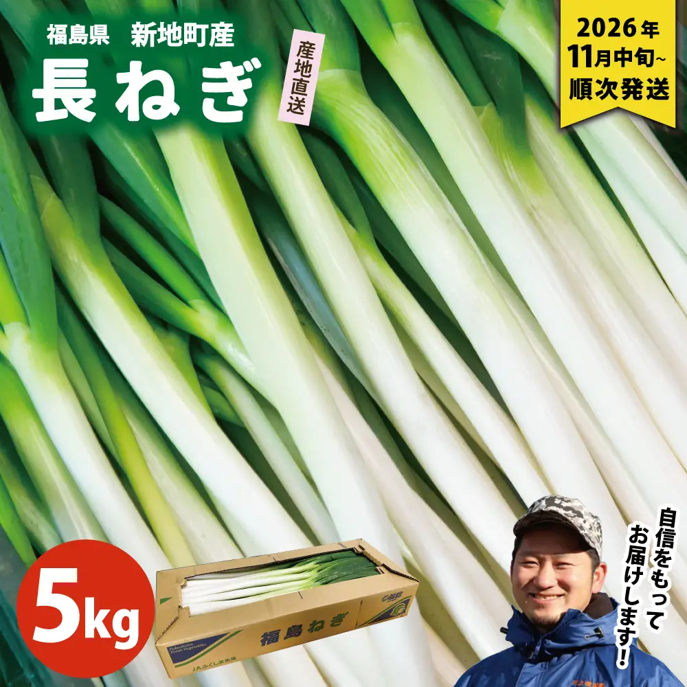 新地町産 長ネギ 約5kg 1箱 | 野菜 やさい 食品 人気 おすすめ 送料無料 ねぎ ネギ 葱 長ねぎ お取り寄せ 福島県 新地町 白ねぎ 鍋
