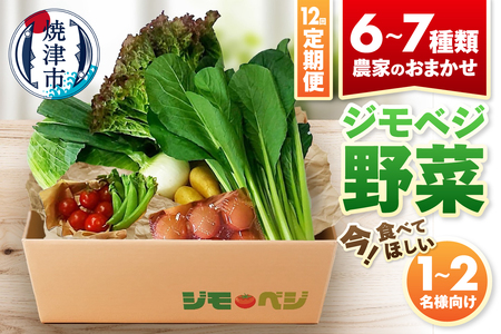 a90-009　【定期便 全12回】ジモベジ 野菜 ハーフセット