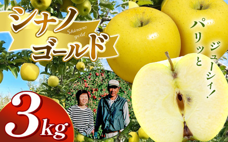 【先行受付】シナノゴールド 3kg（ 9～12玉 ） 
