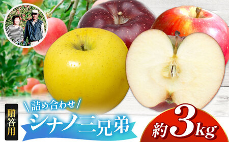 【先行受付】【贈答用】シナノ三兄弟　詰め合わせ　3kg