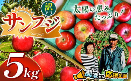 【先行受付】訳アリ　サンふじ　5kg　（14～16玉）