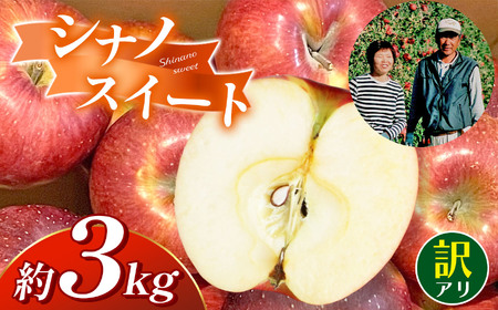 【先行受付】訳アリ　シナノスイート　3kg　（9～12玉）