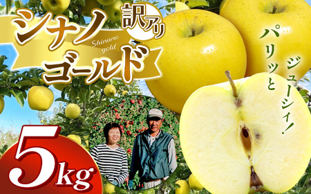 【先行受付】訳アリ　シナノゴールド　5kg　（14～18玉）