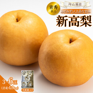 【2026年発送】岡山県産 新高梨 3～6玉 青秀以上 (計約4.0kg)化粧箱入り