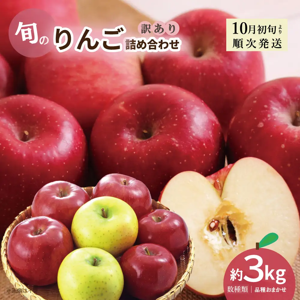 新地町産 りんご 詰め合わせ 訳あり 約3kg 1箱 | 果物 くだもの リンゴ フルーツ 旬 産地直送 農家直送 食品 人気 おすすめ 送料無料 お取り寄せ 福島県 新地町 訳アリ わけあり 葉とらず