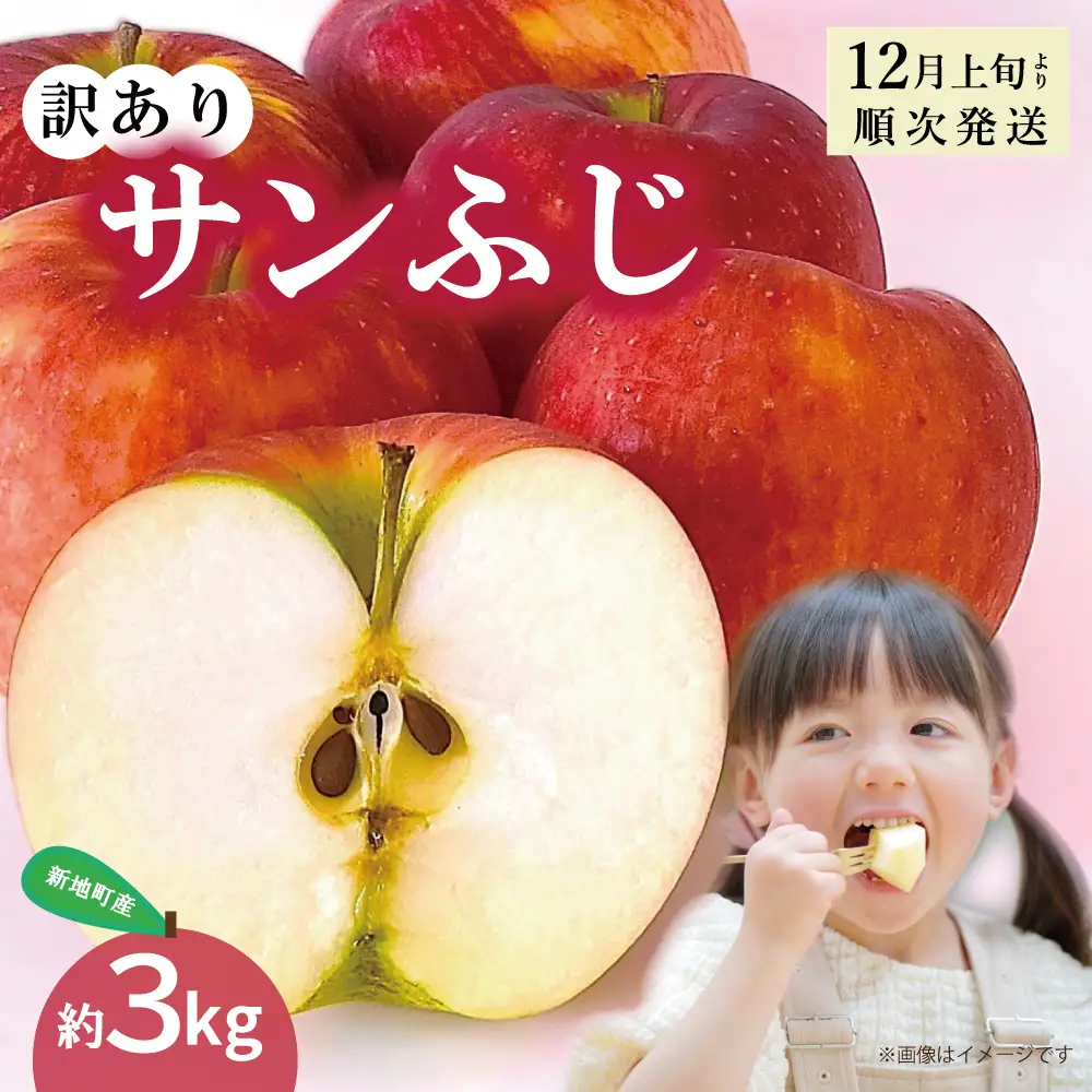 新地町産 りんご サンふじ 訳あり 約3kg 1箱 | 果物 くだもの リンゴ フルーツ 旬 産地直送 農家直送 食品 人気 おすすめ 送料無料 お取り寄せ 福島県 新地町 訳アリ わけあり 葉とらず サンフジ フジ