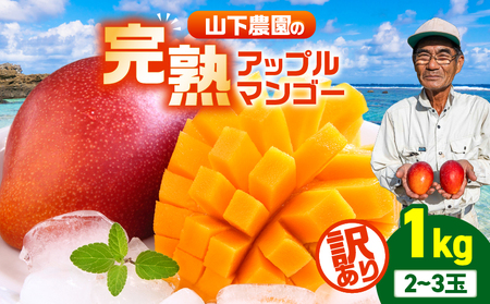 【 2026年 先行予約 】【 訳あり 】 甘い香り の 贈り物 ！ 山下農園 の 完熟アップルマンゴー 1kg （ 2～3玉 ） W063-004-01 わけあり 期間限定 果物 マンゴー