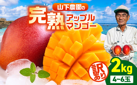【 2026年 先行予約 】【 訳あり 】 甘い香り の 贈り物 ！ 山下農園 の 完熟アップルマンゴー 2kg（ 4～6玉 ） W063-004-02 わけあり 期間限定 果物 マンゴー