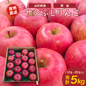 《先行予約》 令和8年産 りんご サンふじ 秀品 5kg（12 - 20玉） 山形県産 【2026年11月頃より順次発送予定】2026年産 山形産　015-B-JF002