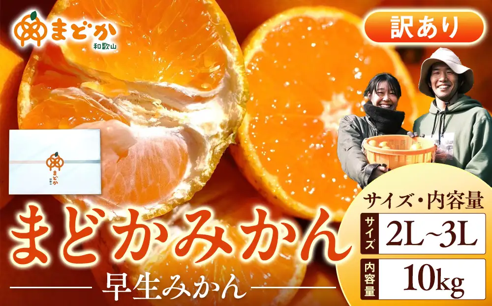 ［先行予約］［訳あり］秋採れみかん（早生みかん）2L〜3Lサイズ混合 10kg＋500g（傷み補償分）［2026年11月上旬より発送］