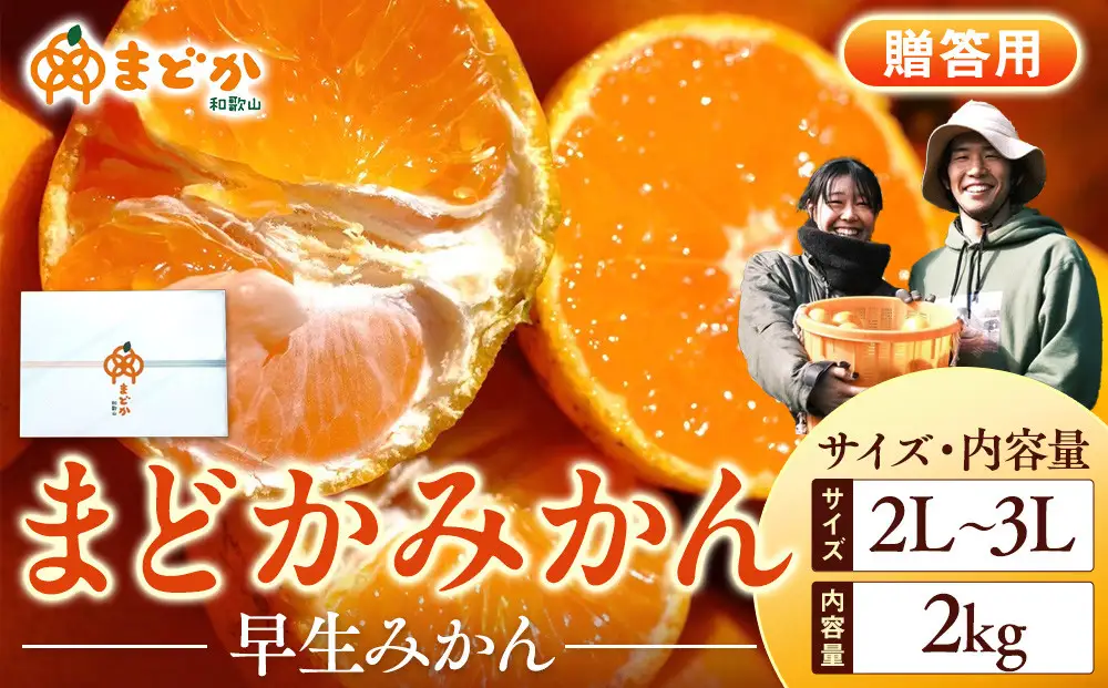 ［先行予約］［贈答用］秋採れみかん（早生みかん）2L〜3Lサイズ混合 2kg＋200g（傷み補償分）［2026年11月上旬より発送］