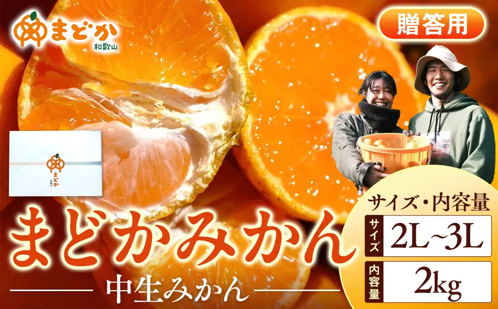 ［先行予約］［贈答用］冬採れみかん（中生みかん）2L〜3Lサイズ混合 2kg＋200g（傷み補償分）［2026年11月下旬より発送］
