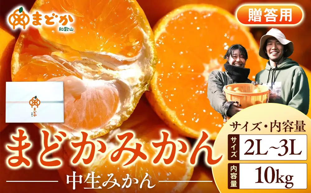 ［先行予約］［贈答用］冬採れみかん（中生みかん）2L〜3Lサイズ混合 10kg＋500g（傷み補償分）［2026年11月下旬より発送］