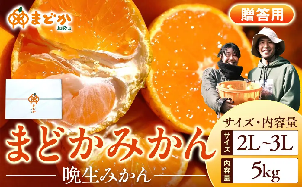 ［先行予約］［贈答用］蔵出しみかん（晩生みかん）2L〜3Lサイズ混合 5kg＋300g（傷み補償分）［2027年1月上旬より発送］