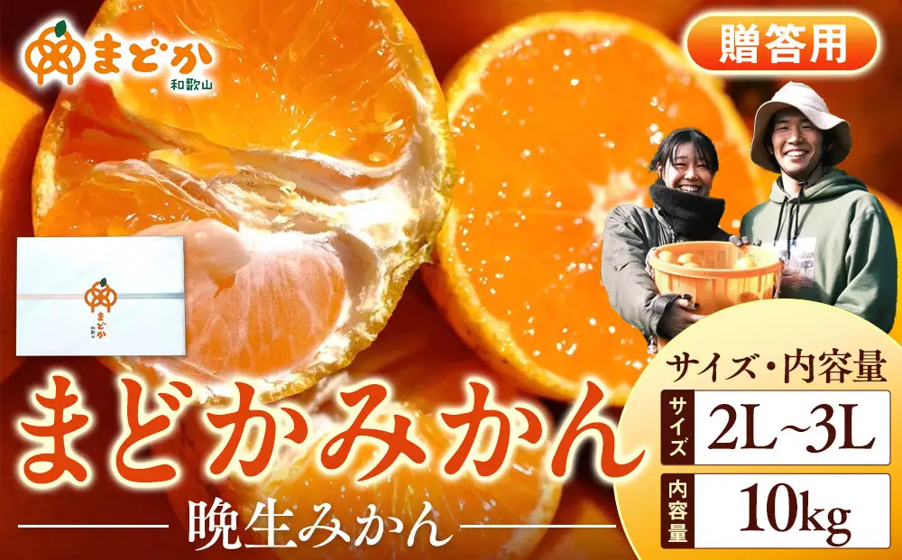 ［先行予約］［贈答用］蔵出しみかん（晩生みかん）2L〜3Lサイズ混合 10kg＋500g（傷み補償分）［2027年1月上旬より発送］