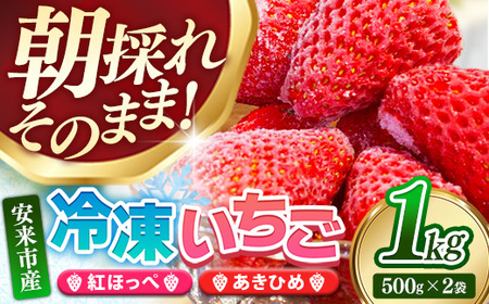 冷凍いちご （ヘタカット済み 500gの小分け袋 x 2個入り）【果物 フルーツ 紅ほっぺ あきひめ】