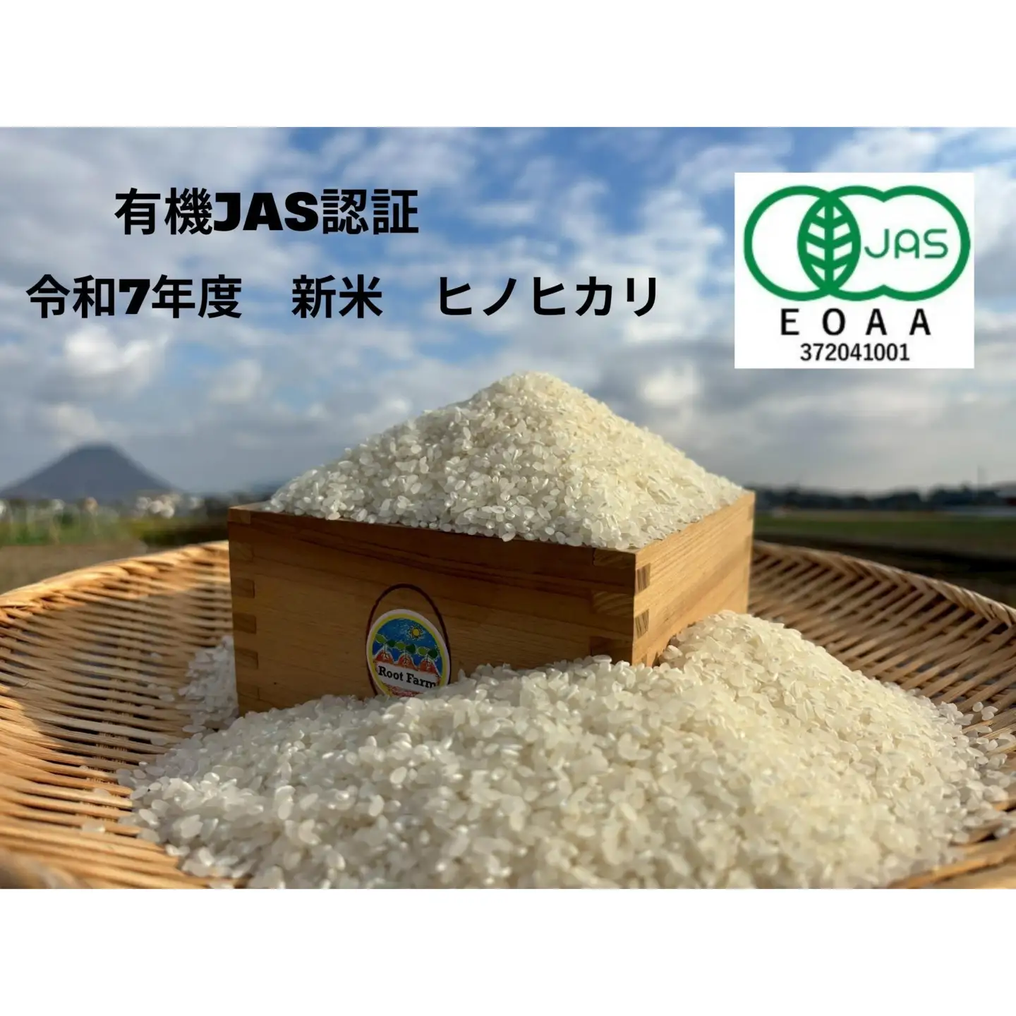 Root  Farmの令和7年度産　ヒノヒカリ玄米5kg×2袋　有機JAS認証