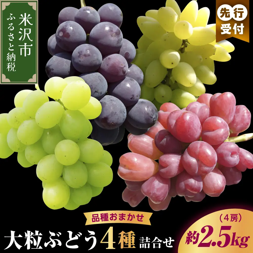 【先行予約】【数量限定】【令和8年産】大粒 ぶどう 詰合せ 4種類 2.5kg 4房 品種おまかせ 2026年9月15日～9月30日頃お届け予定