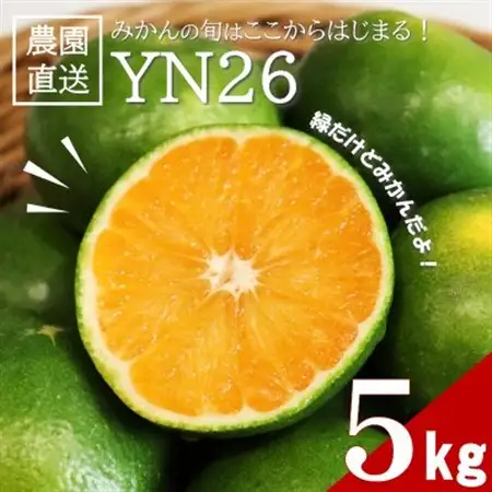 【先行受付】9月からみかんが楽しめる!極早生みかん YN26 約5kg(2026年9月中旬～出荷)【1680031】