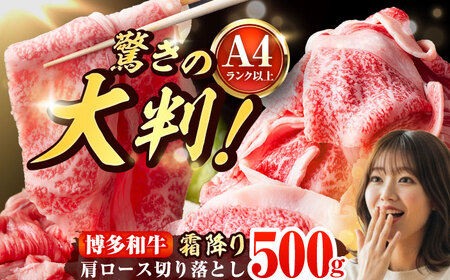 【A4-A5】博多和牛 大判霜降り 贅沢切り落とし 500g (250g×2P) [BGAB109]