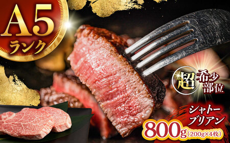 【唯一無二の贅沢！】長崎和牛 シャトーブリアン 800g(200g×4) / ヒレ ひれ ヒレステーキ ステーキ すてーき しゃとーぶりあん / 諫早市 / 野中精肉店[AHCW154]