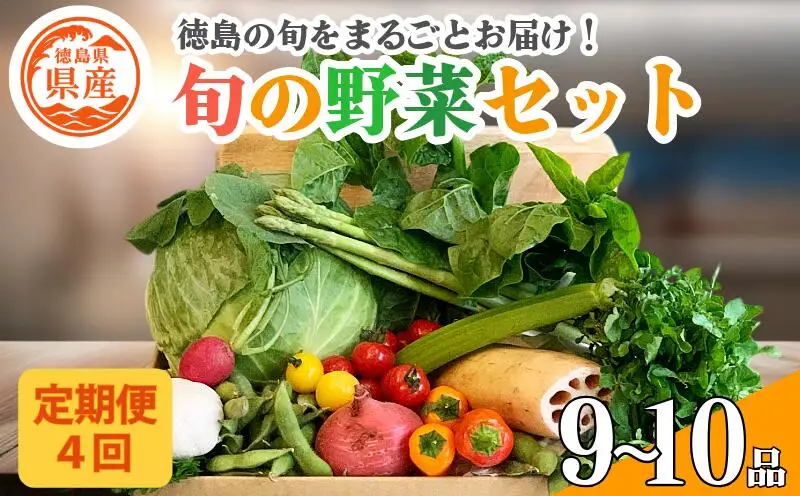 野菜セット 9〜10品 定期便 4回 野菜