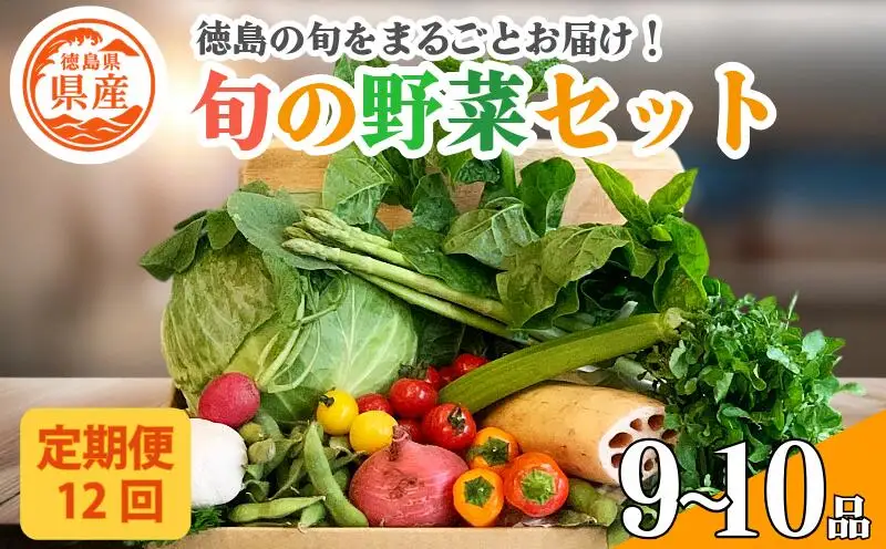 野菜セット 9〜10品 定期便 12回 野菜