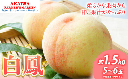 桃 2026年 先行予約 白桃 白鳳 約1.5kg 5～6玉 もも 岡山県 赤磐市産 フルーツ 果物 あかいわファーマーズガーデン