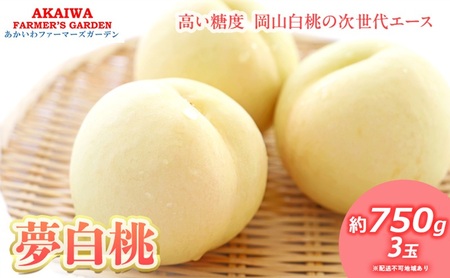 桃 2026年 先行予約 おかやま 夢 白桃 約750g 3玉 もも 岡山県 赤磐市産 フルーツ 果物 あかいわファーマーズガーデン デザート 旬の果物 旬のフルーツ