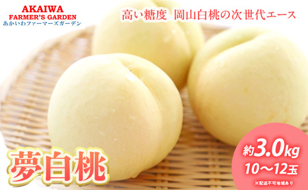 桃 2026年 先行予約 おかやま 夢 白桃 約3.0kg 10～12玉 もも 岡山県 赤磐市産 フルーツ 果物 あかいわファーマーズガーデン デザート 旬の果物 旬のフルーツ