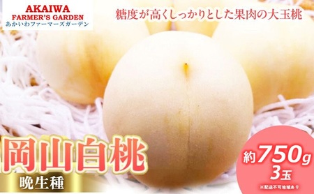 桃 2026年 先行予約 岡山の 白桃 (晩生種) 約750g 3玉 もも 岡山県 赤磐市産 フルーツ 果物 あかいわファーマーズガーデン デザート 旬の果物 旬のフルーツ
