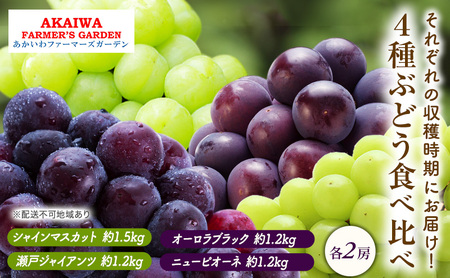 ぶどう 2026年 先行予約 ぶどう 食べ比べ 約1.2kg～1.5kg×4種 葡萄 岡山県 赤磐市産 フルーツ 果物 果物類 マスカット