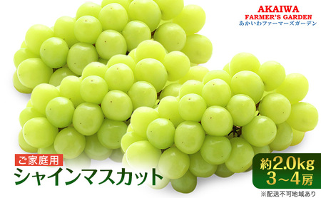 ぶどう 2026年 先行予約 ご家庭用 シャインマスカット 約2.0kg 3～4房 葡萄 フルーツ 果物 岡山 赤磐市産 あかいわファーマーズガーデン 人気 皮ごと 種無し 甘い