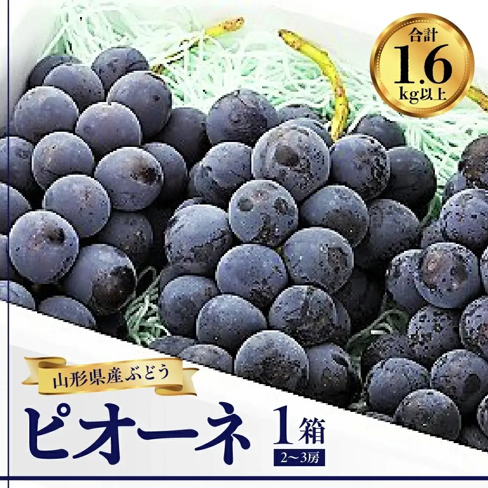 ぶどう（ピオーネ）１.６ｋｇ　0060-2609