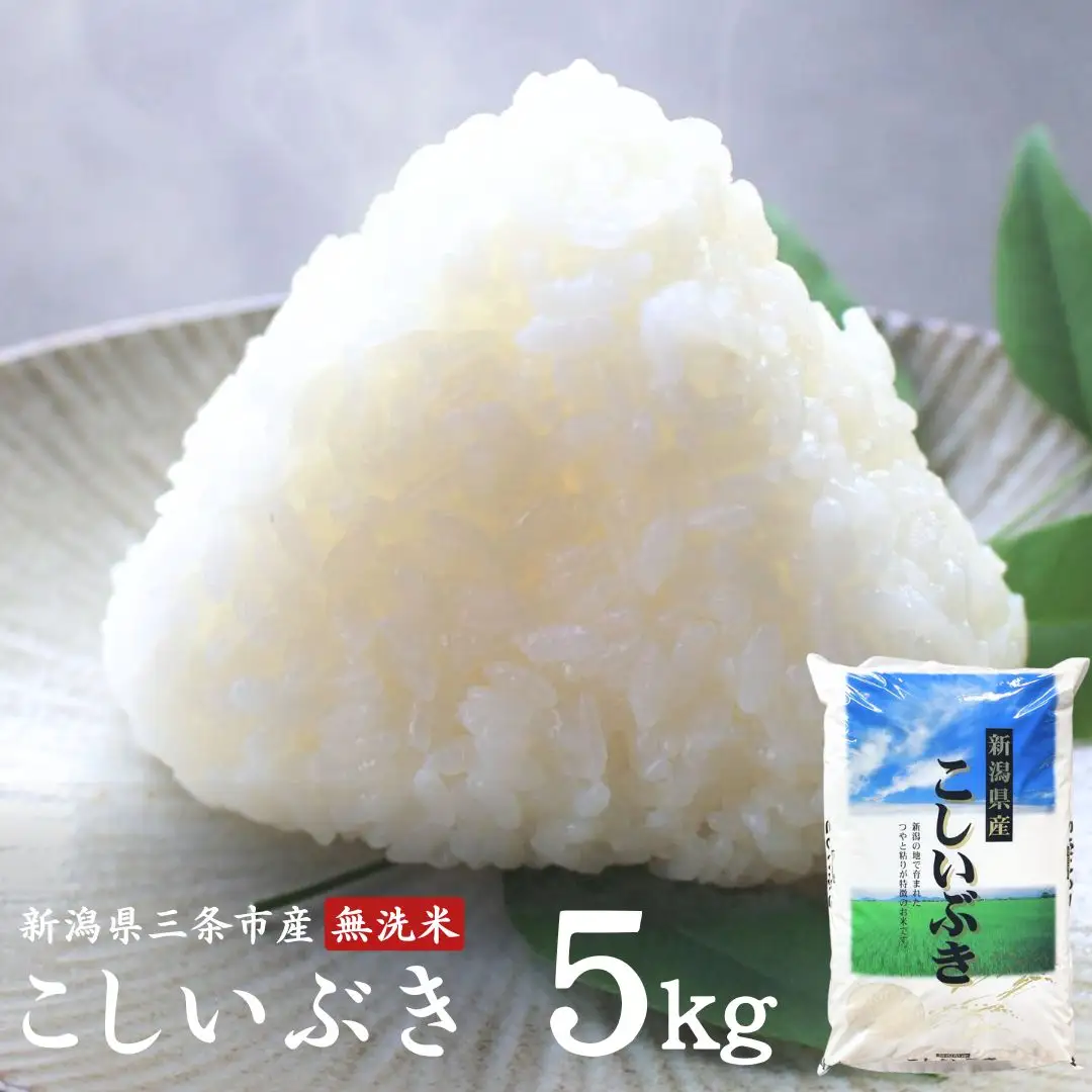 [無洗米] こしいぶき 5kg 令和7年 新潟県 三条市  