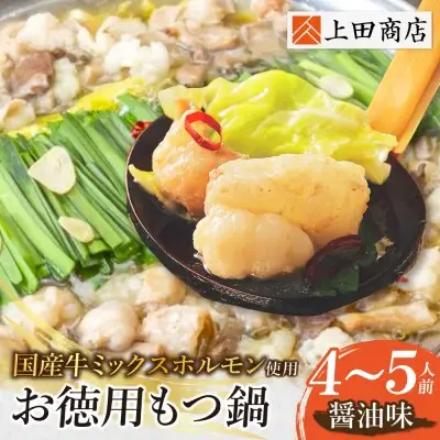 Z08-28 寄附額改定↓↓ お徳用もつ鍋(醤油味 4～5人前)  もつ鍋